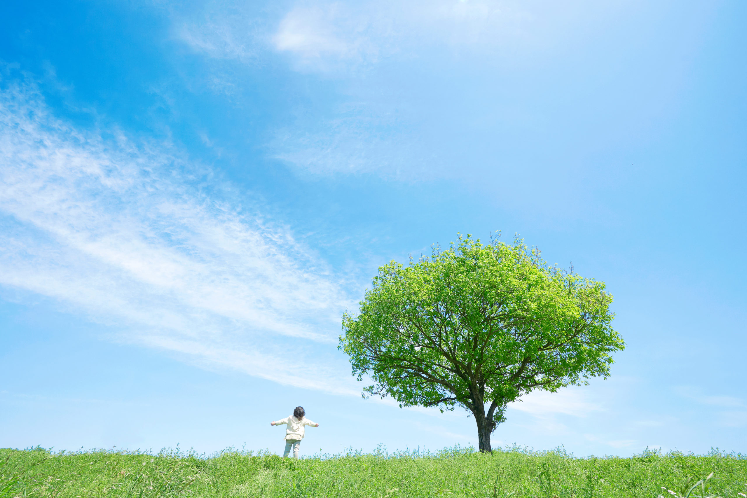 Sky and Children